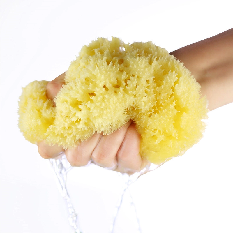 Best Selling Daily Necessities Natural Greece Bath Sea Spongeural Wool Sea Sponge